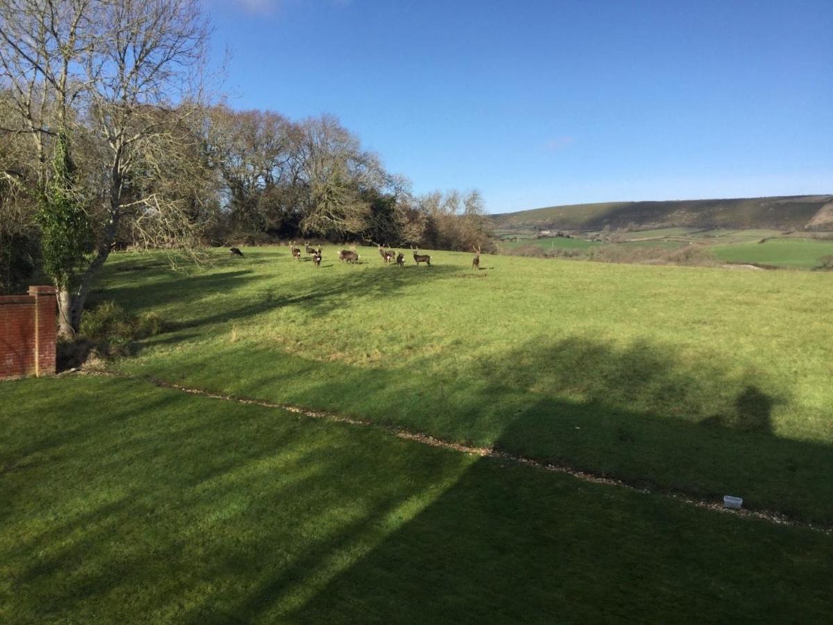 Yards Brake On 40 Acres Of Private Land Villa Langton Matravers Exterior foto