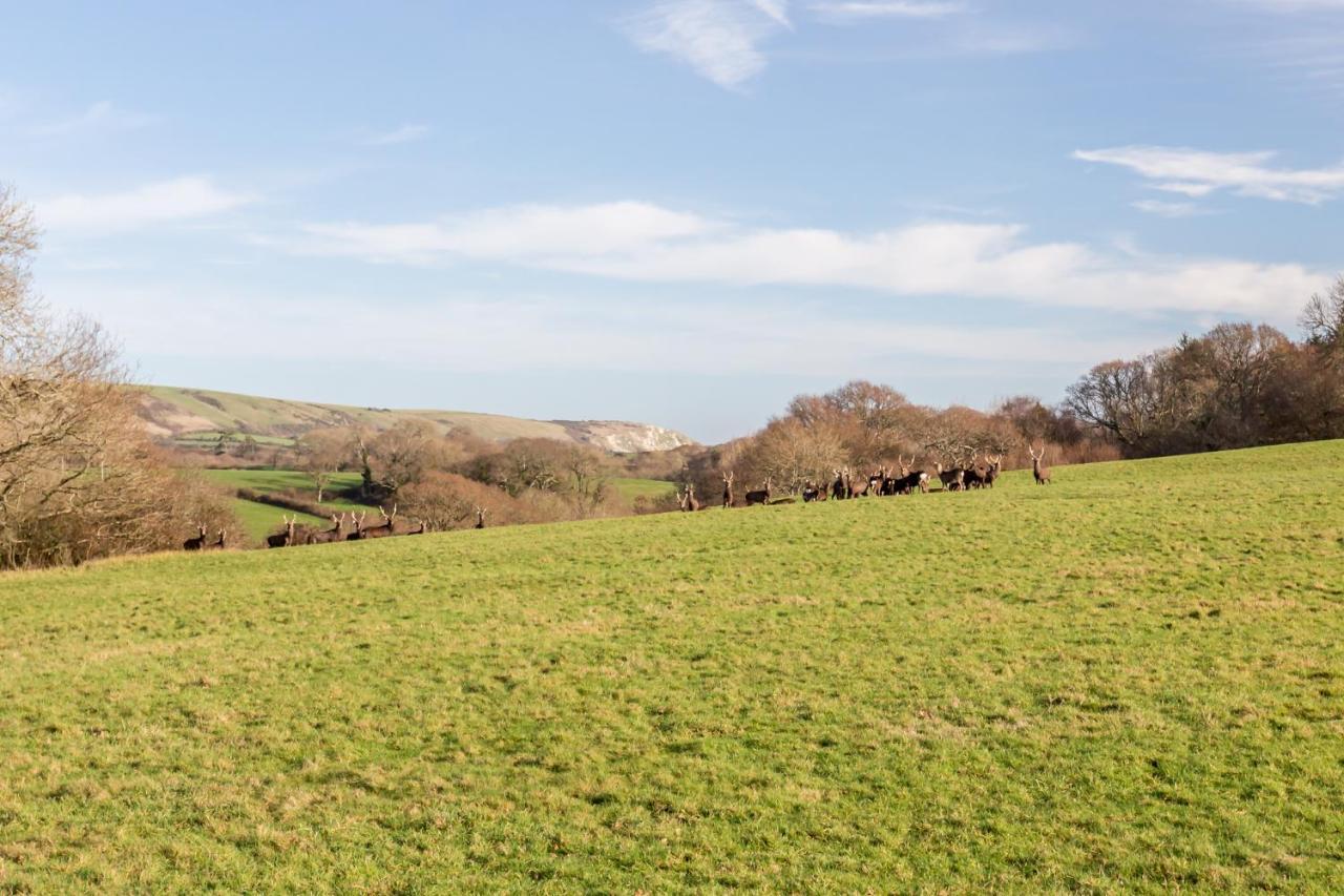 Yards Brake On 40 Acres Of Private Land Villa Langton Matravers Exterior foto